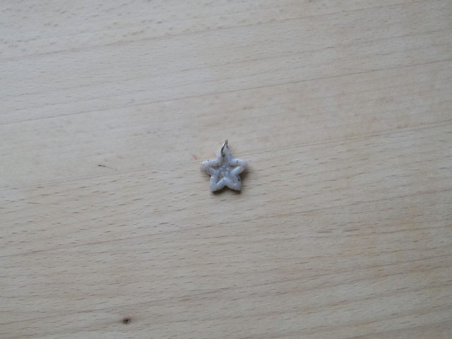 Charm étoile de mer