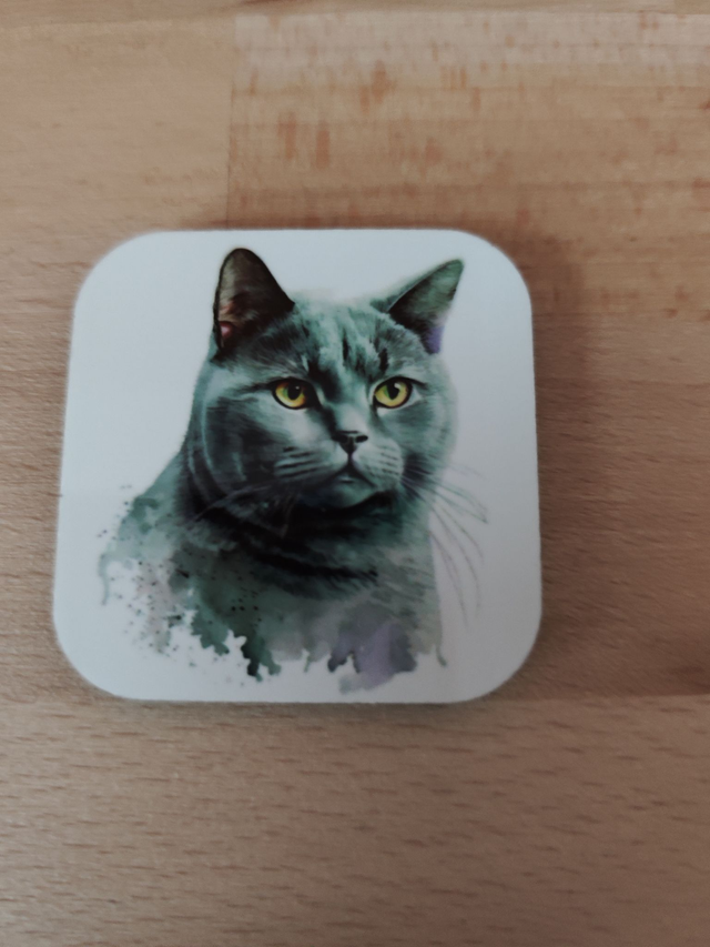 Magnet chat Chartreux