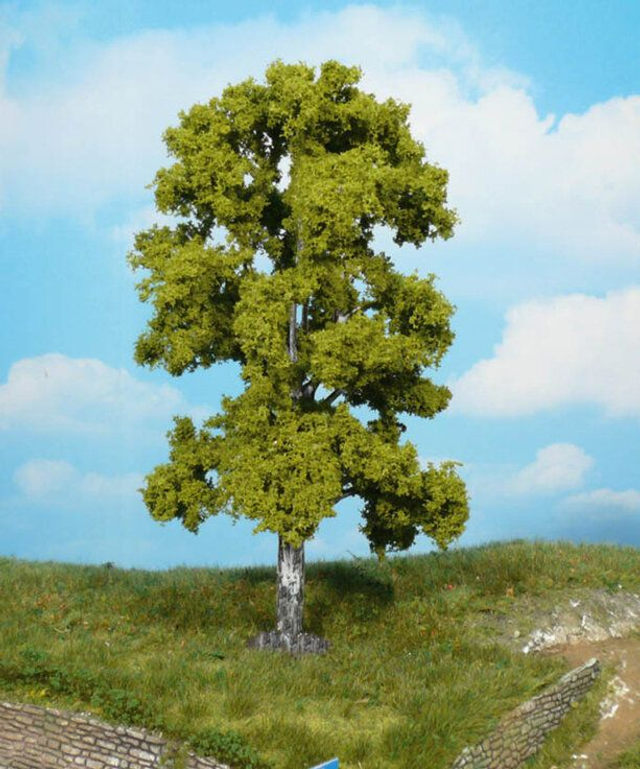 bouleau 18cm Héki 1923