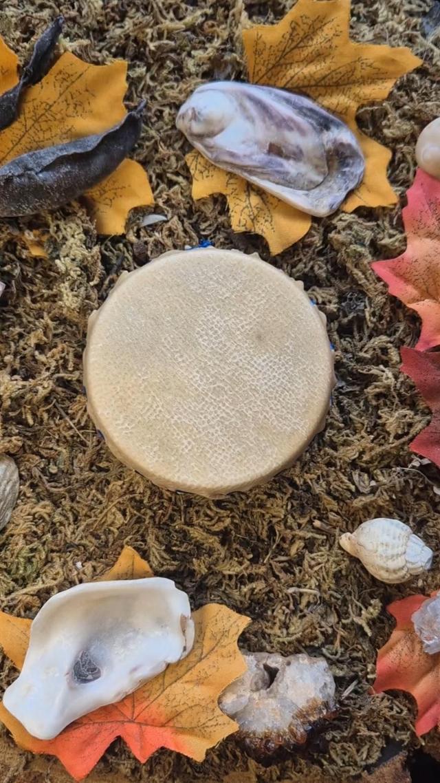 Mini Ocean Drum