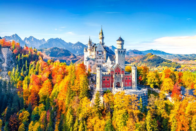 Navidad: Selva Negra, Mercadillos y Alpes Alemanes