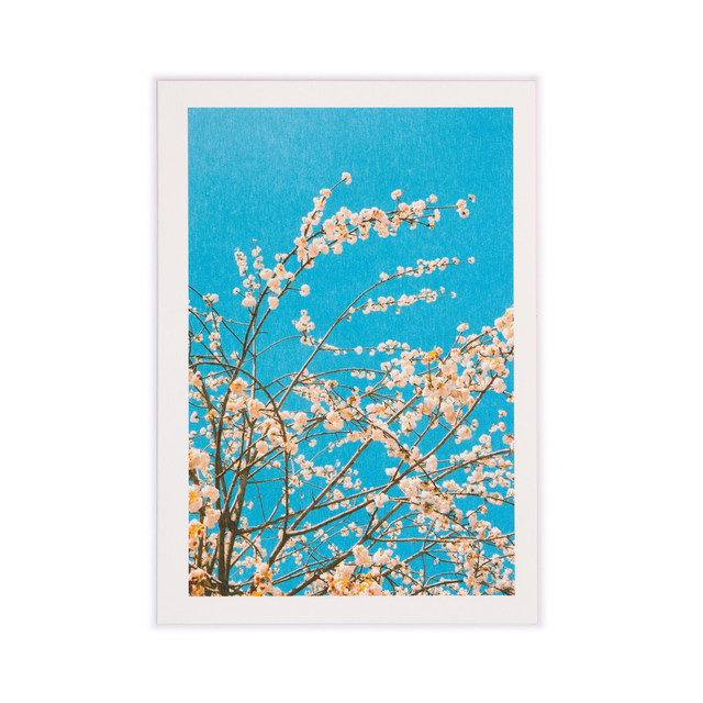 Carte double - Cerisier printanier sur ciel bleu