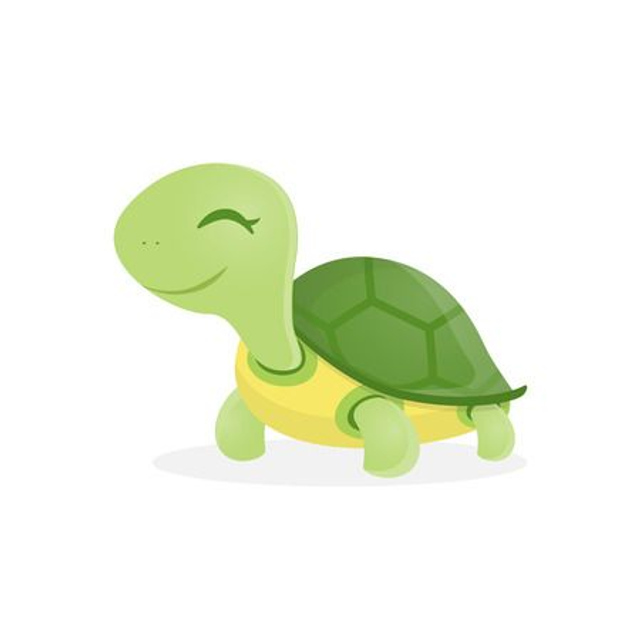 Porte-clé Tortue simple