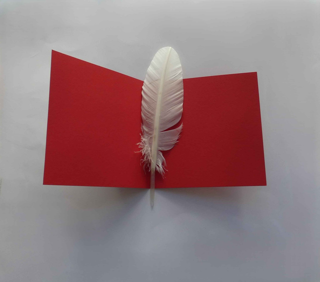 Au-dessus de la forêt de sapins