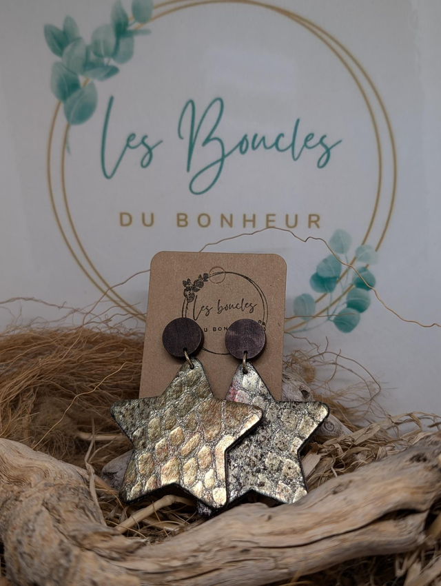 Boucles d&#039;oreilles bronze Star s107 