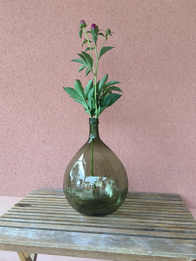 Dame Jeanne (10 litres - verte)