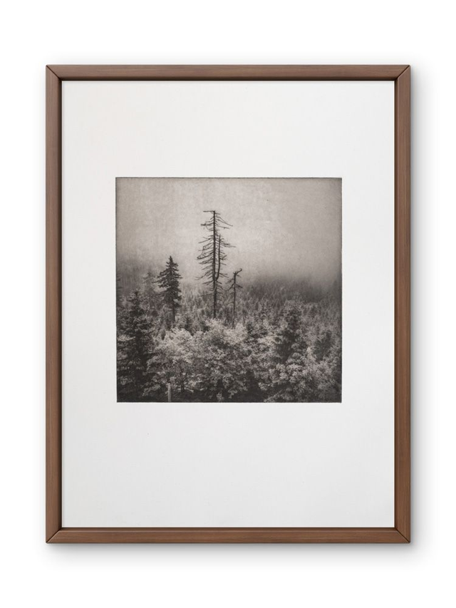 30x40  'Stripped' photogravure handprint framed   