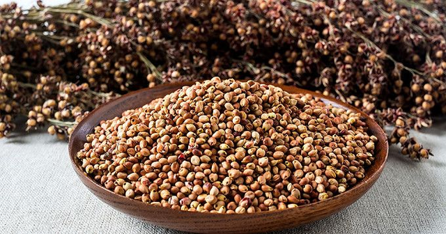 Grains Sorgho - 500 gr