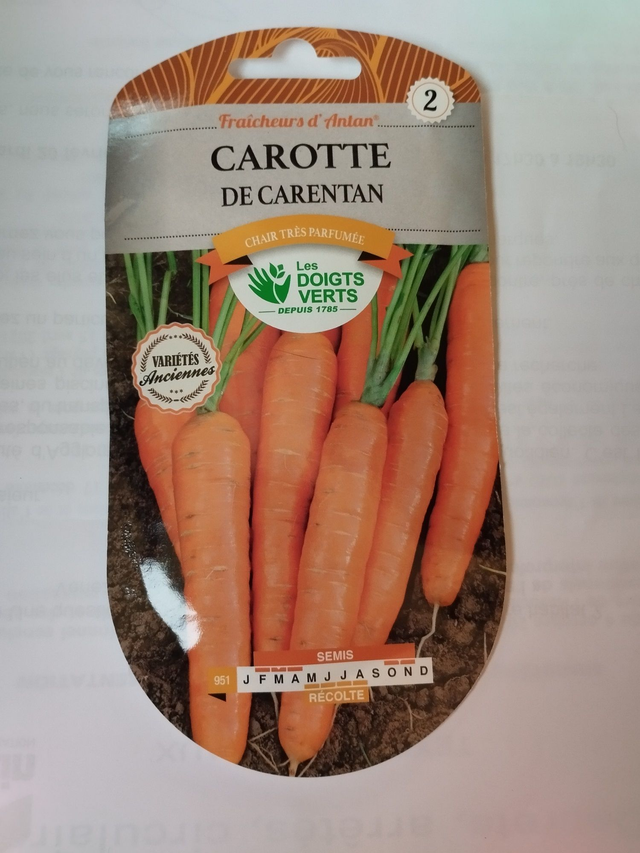 Carotte de Carentan