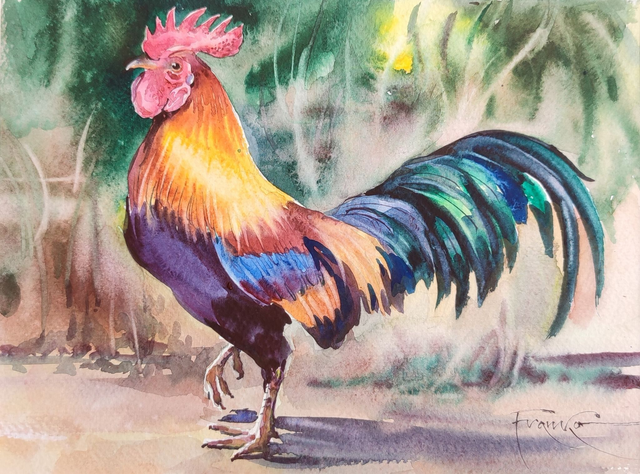 Kogut, 28x35 (18x24 w świetle passe-partout) akwarela 2024
