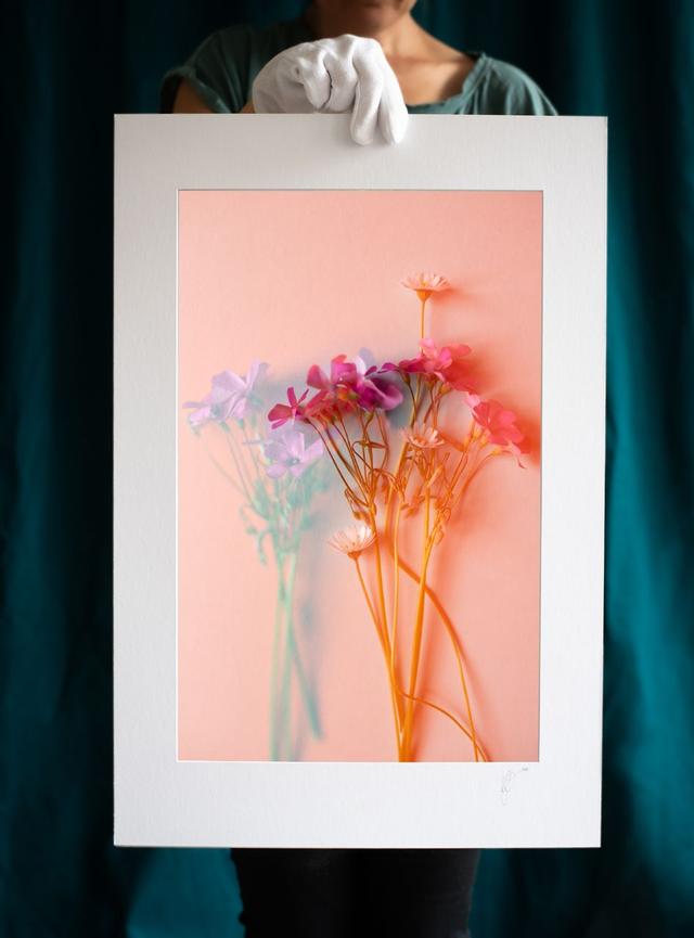 Collection du printemps * 9