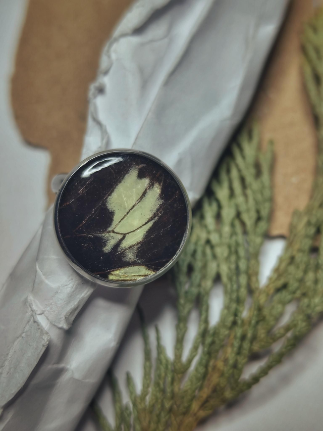 Butterfly Wing Ring 