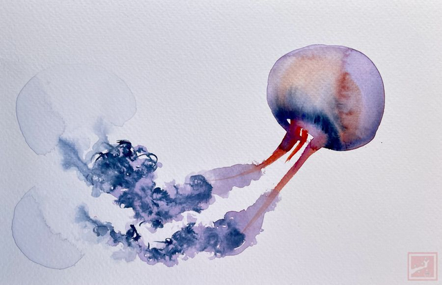 jelly fish #3