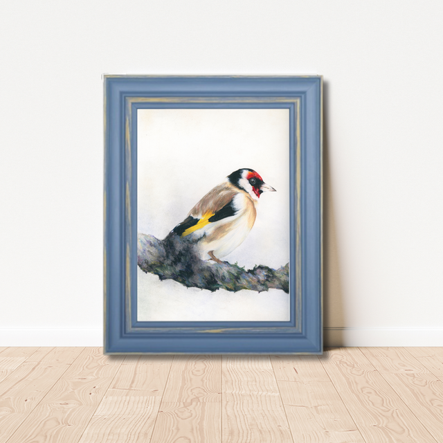 Oiseau N°2