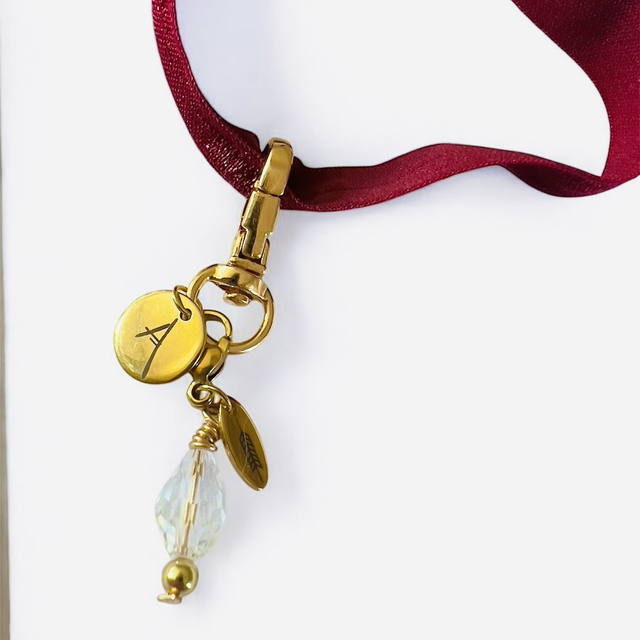 Coffret DOG CHARM DIAMANT 