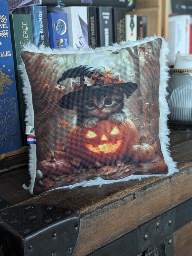 Chaton halloween 