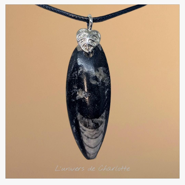 Pendentif &quot;Orthoceras&quot; PN-024