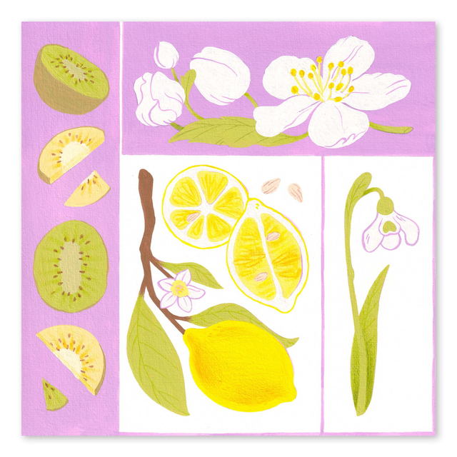 Illustrations du calendrier 2024