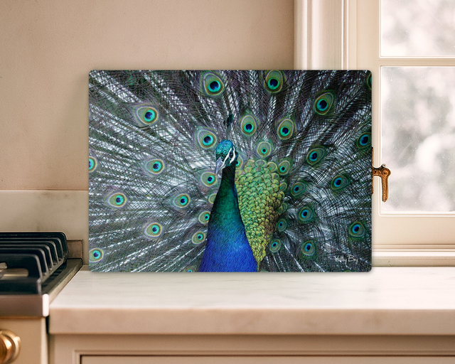 "Stunning Peacock" Glass Worktop Saver  