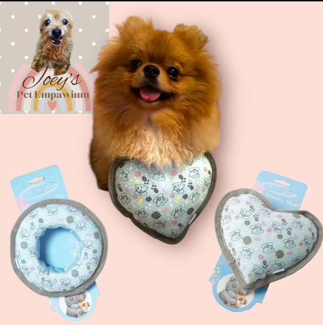 Me To You Bear Dog Toys