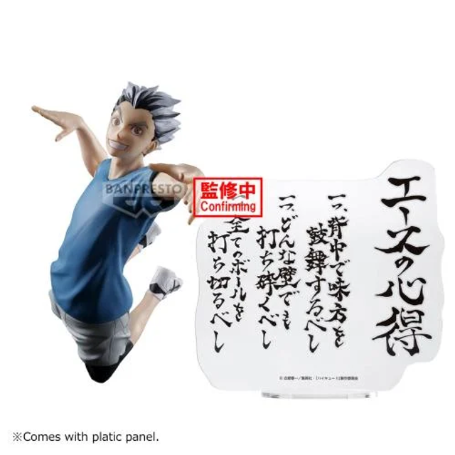 Kotaro Bokuto(Haikyu)