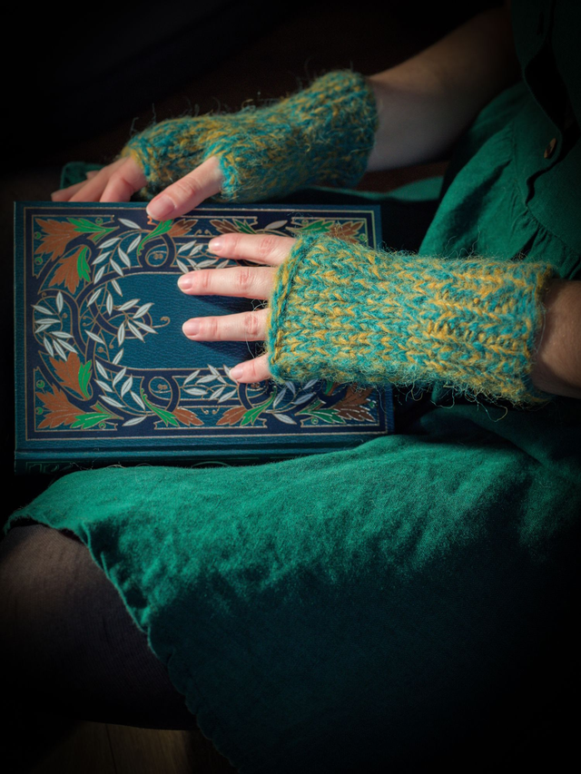 Mitaines bleu et jaune