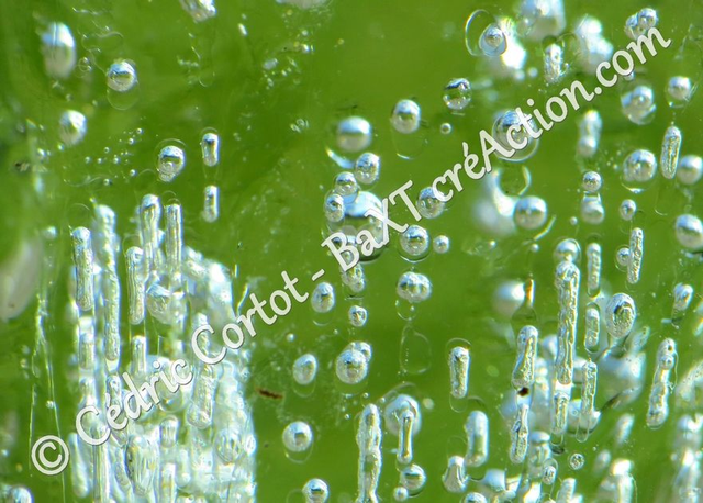 Carte postale - Paysages et divers (Ref IMG_8337)