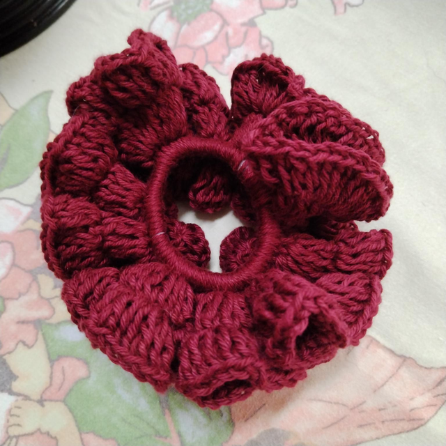 2025 CHOUCHOU CHEVEUX 