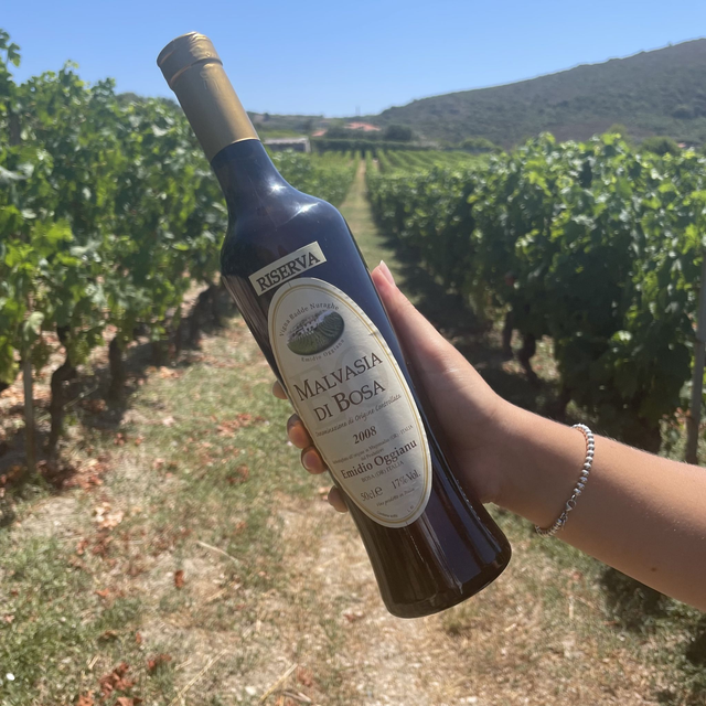 Malvasia di Bosa doc Riserva 2008 (500ml)