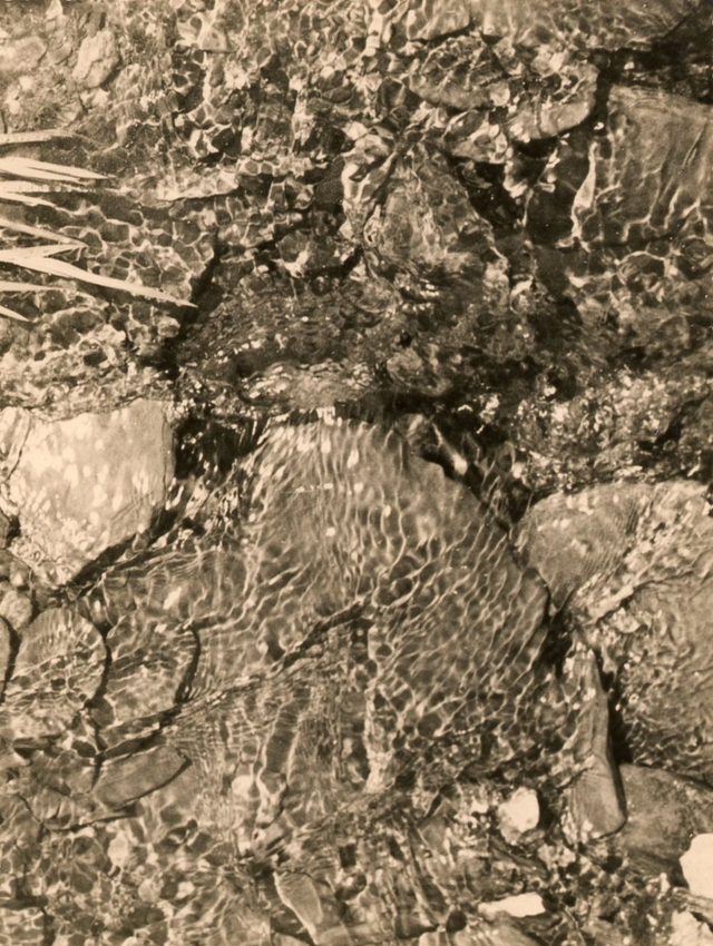 Reflets dans l'eau, 1961