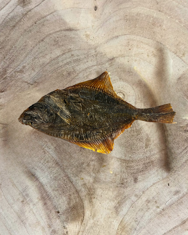 Flounder Fish for Dogs