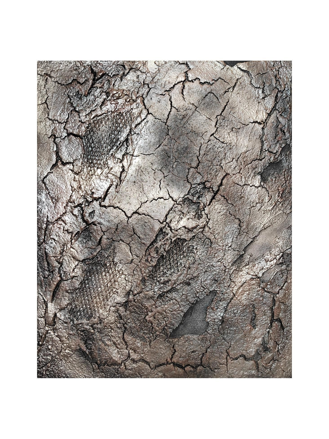 &quot;Scorched but alive&quot; - 33 x 41 cm