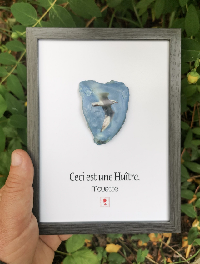 13x18 : Ceci est une huitre : Mouette.