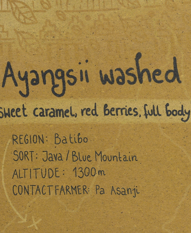 Ayangsii Washed