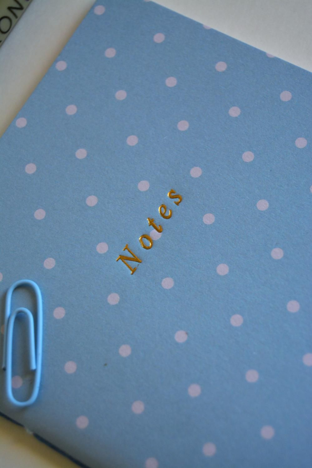 Petit cahier bleu à pois blancs