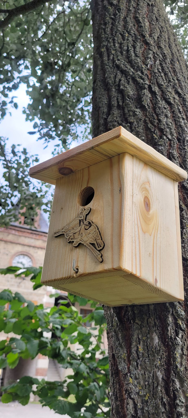 Nichoir à mésange 🐦