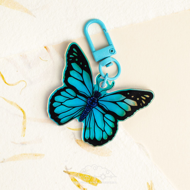 Motyl Morpho Rainbow | ZWIERZĘTA