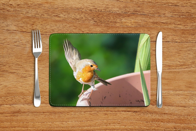 “Dancing Robby Robin” Placemat  