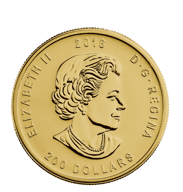 Canada 1 oz Gold Grizzlie Coin