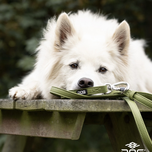 Urban Classic Leash - Leine von Dog Copenhagen