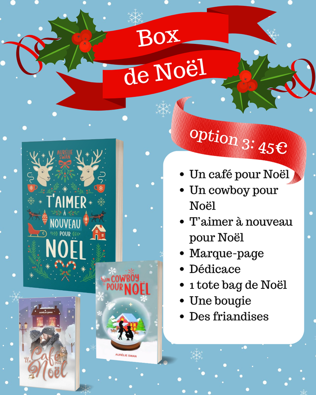 Box de Noël option 3: Les trois romances de ma collection de Noël