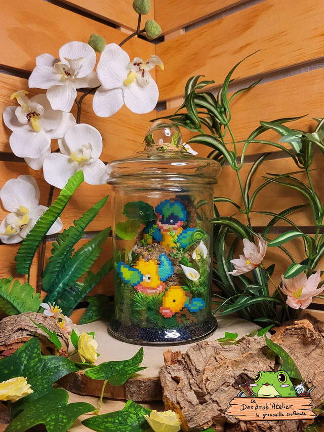 Terrarium Chétivolution