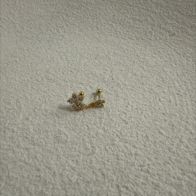 PIERCING D’OREILLE DESLUMBRANTE 