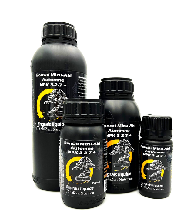 Bonsaï Mizu-aki Automne 3-2-7+