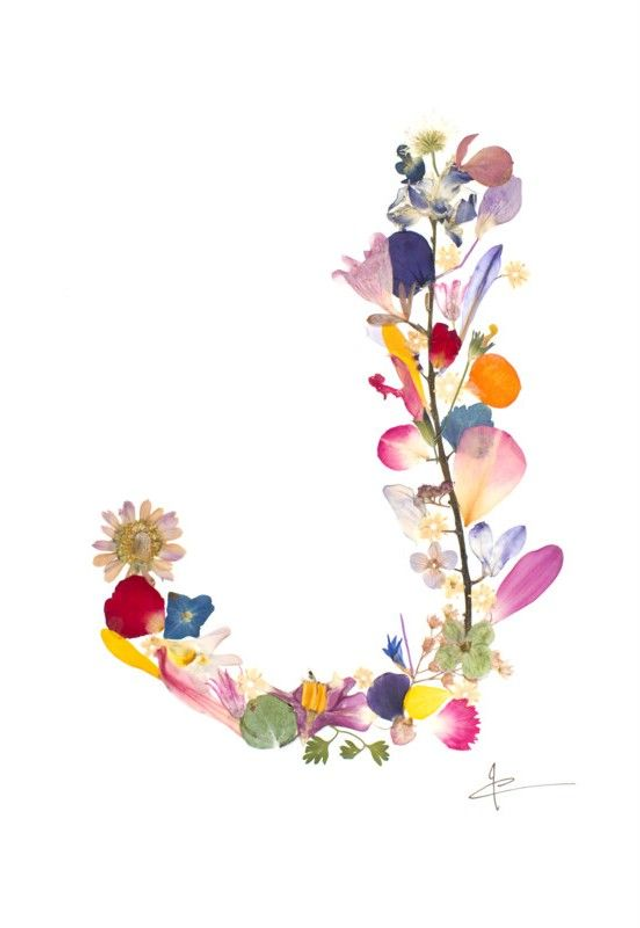 Lettre J   12 € - 22 €