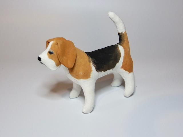 Beagle