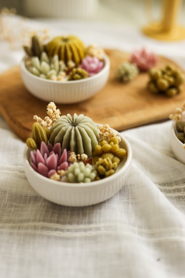 Jardin de succulentes 