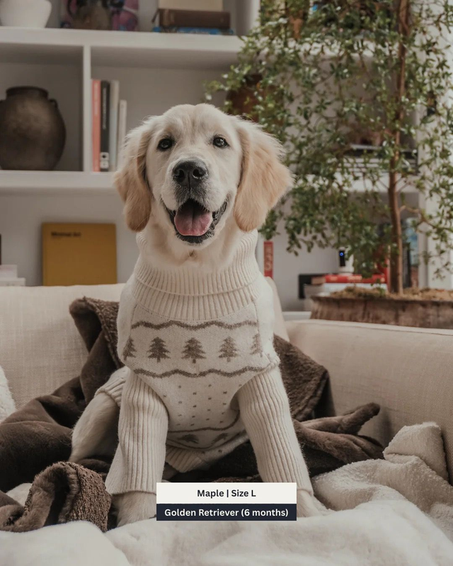 By Teddy Roll Neck Knit - Winter Trees