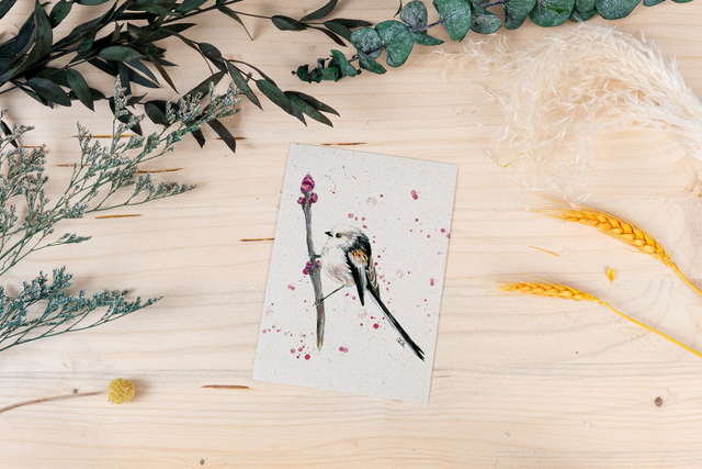 Graspapierkarte - Schwanzmeise
