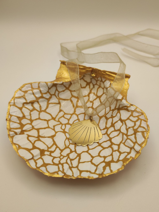 Coquillage